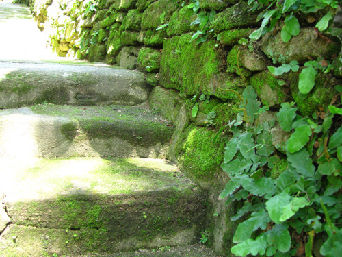 Stone alley to Loc Yen ancient village fascinates travellers